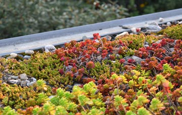 the cost of Prior Rigg green roof installation