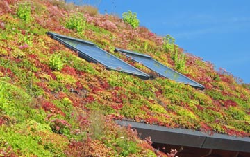 Prior Rigg living roof systems